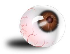 red blood veins of an eyeball