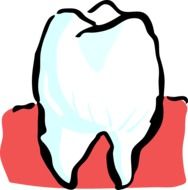 Clipart of tooth in mouth