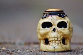decoration of Scary skull for celebrating Halloween
