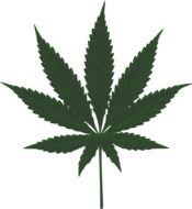 Clipart of marijuana leaf