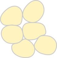 cells in medicine as a graphic illustration