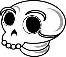 skull, illustration