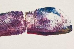 purple fingerprint