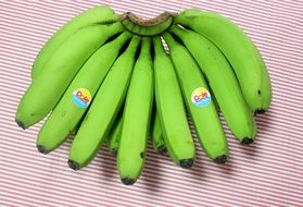 banana branch