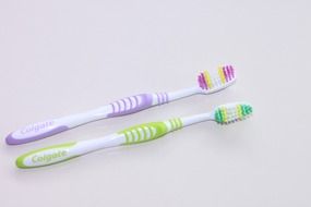 two toothbrushes for hygiene
