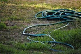 green hose on grass