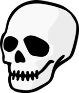 graphic image of the skull