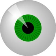 eye green round pupil body sight