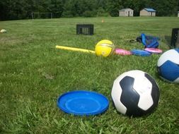 multi-colored balls and frisbee on a green lawn