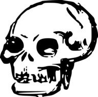 black and white computer image of a skull