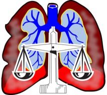 Clipart of lungs system