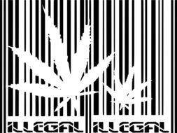 İllustration of illegal marijuiana