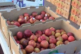 Fruit in boxes