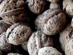 walnut shells