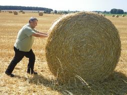 work with straw after summer harvest