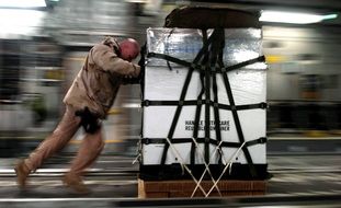 cargo handler work