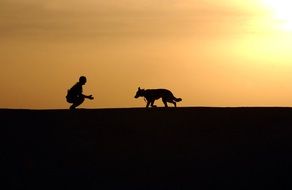 dog and men silhouettes sunset