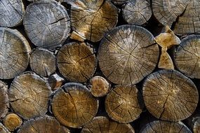 wooden logs lumber timber