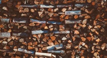 Logs of wood