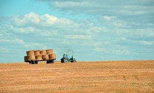 Farming on the field