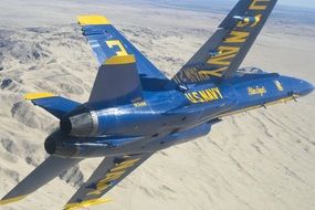 blue angels aerobatics show