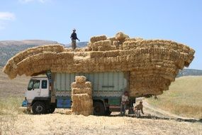 truck with straw in morocco