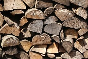 stack of firewood