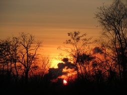 Colorful sunset behind clouds and tree silhouettes