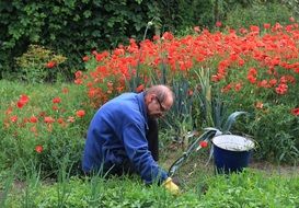 garden worker