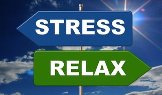 blue arrow labeled stress and green arrow labeled relax