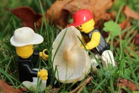 LEGO figures collect mushrooms