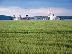 field agriculture