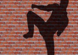 shadow of a karateka on a brick wall