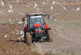 tractor agriculture labour