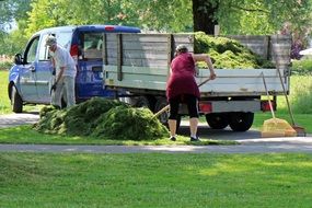 Photo of the working gardener