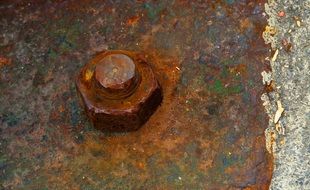 old rusty screw