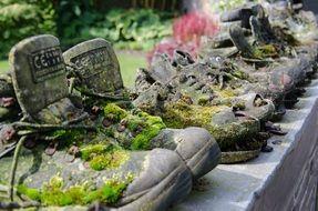 walking shoes in the moss in the garden