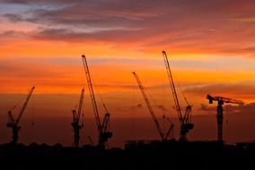 tower cranes at sunset