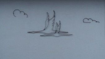 drawing birds under the clouds on the wall