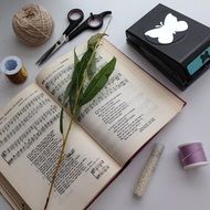 Willow leaves on book
