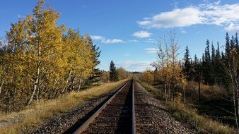 railway tracks in the autumn landscape