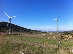 electric windmills in the field