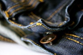fabric sew pants clothing button