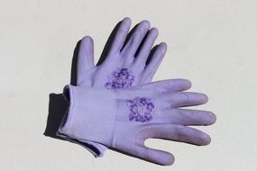 purple female gardening gloves