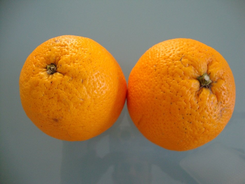 oranges on gray background