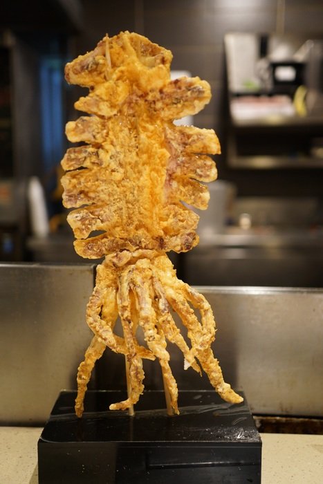 yellow squid the party