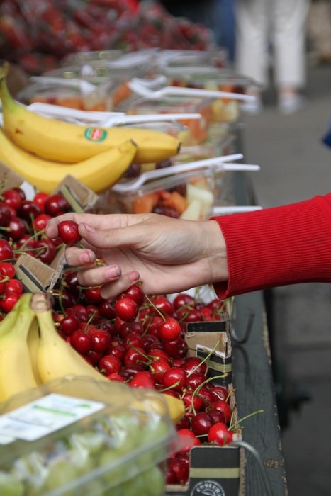 fresh cherries in woman hand scene