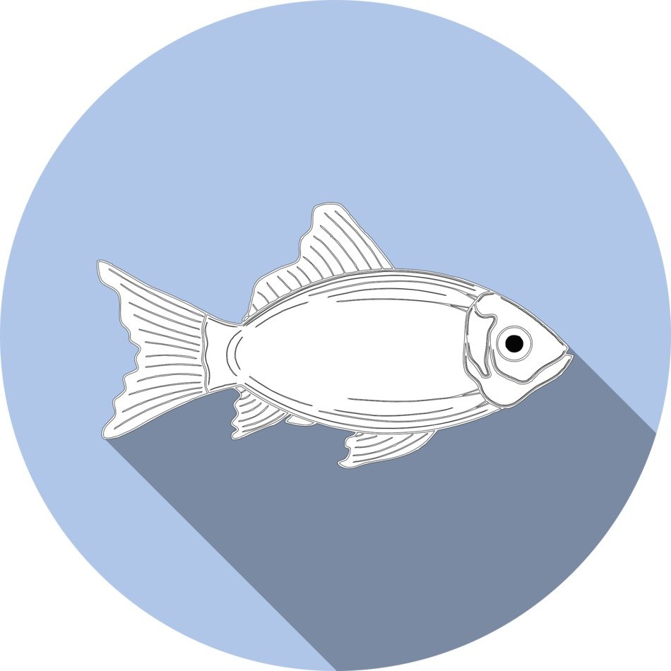 drawing of a fish in the blue circle