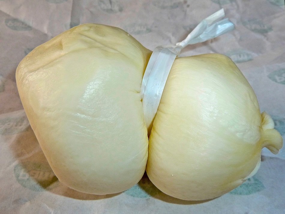 cheese cuisine