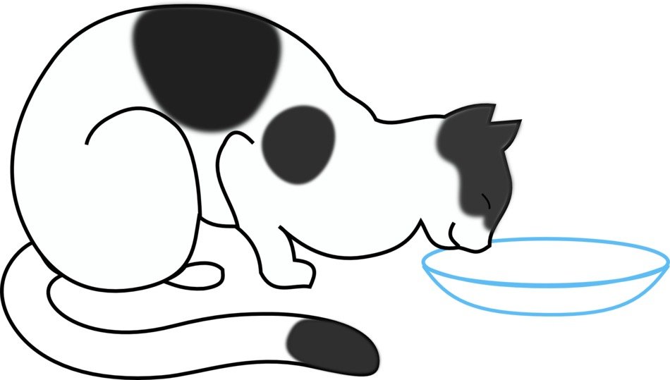 cat drinking milk as a drawing